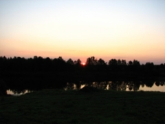 aurinko220809