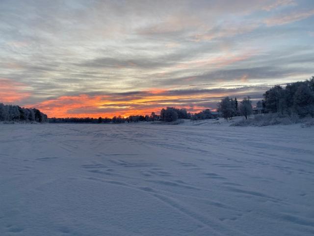 img_3443 img_3443