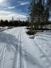 img_3690