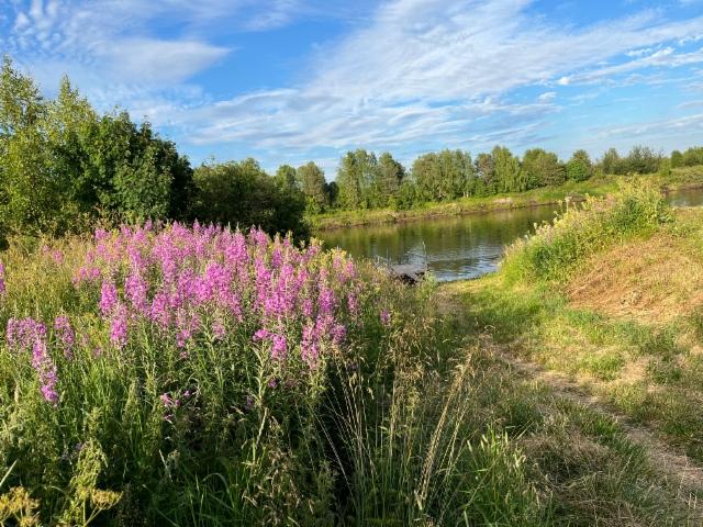 20250727_164140177_ios