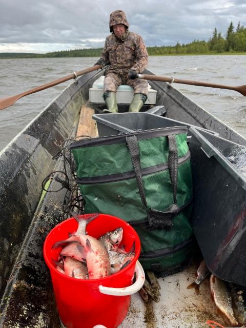 20250819_042817317_ios