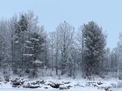 20251205_092041164_ios