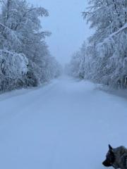 20260117_092659943_ios