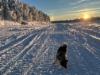 20260124_hilu