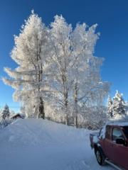 20260212_110653957_ios