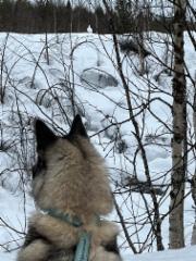 20260320_094705153_ios