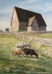 pyhan_olavin_kirkko_-_pirasen_lampaa_-_akvarelli_2021