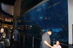 Dubai Mall akvaario