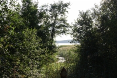 img_8079
