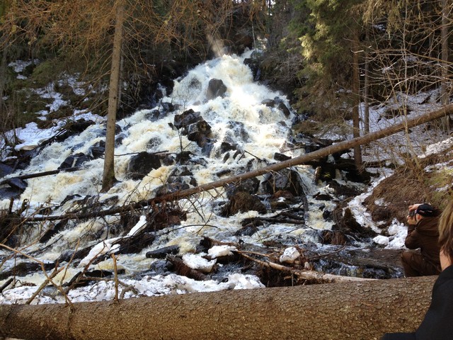 Korkeakosken kuohut