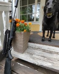 simon_and_lupo