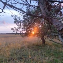 sun_set_at_hiiumaa