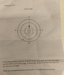 img_20251029_074825258