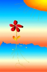 spring_is_here