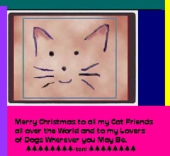 cat