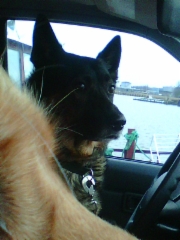 photo0227