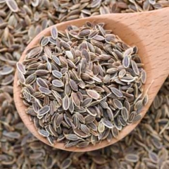 dill-seeds
