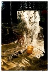fish_caught_in_a_net