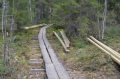 Pitkospuiden korjausta