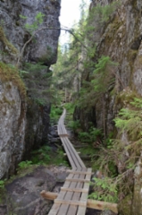 Uusia pitkoksia