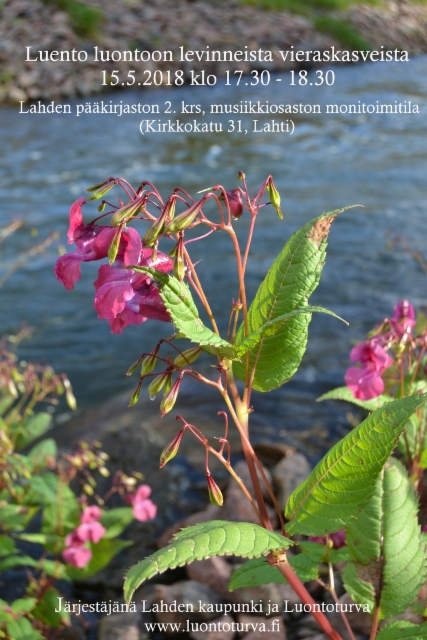 lahden_paakirjasto_15.5.18_luento_luontoon_levinneista_puutarhankasveista_www.luontoturva.fi