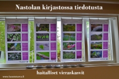 nastolan_kirjastossa_tiedotusta_haitalliset_vieraskasvit_luontoturva.fi