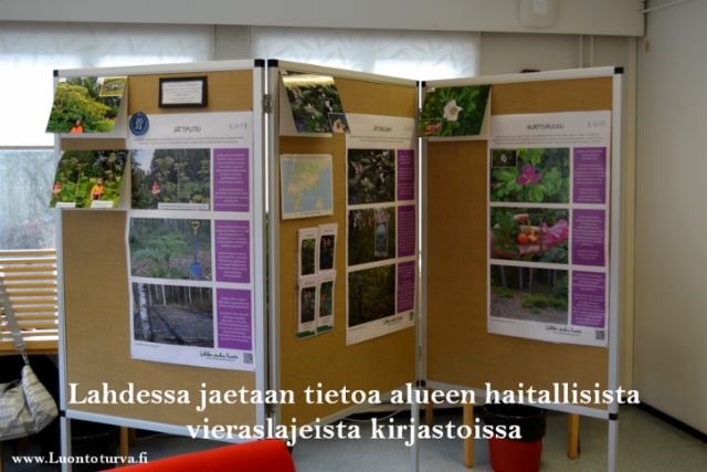 lahdessa_jaetaan_tietoa_haitallisista_vieraslajeista_kirjastoissa_kevaan_2020_aikana_luontoturva.fi