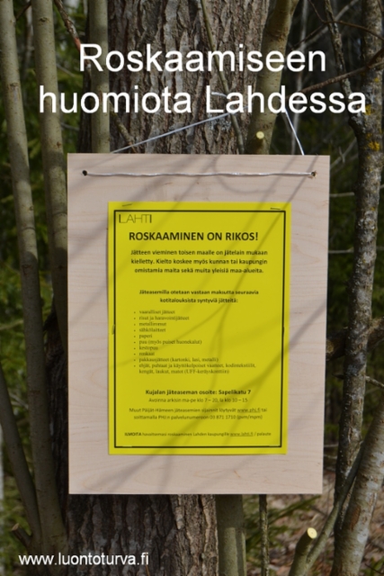 roskaamiseen_huomiota_lahdessa_miia_korhonen_luontoturva.fi