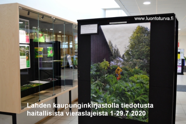 1-29.7.20_tiedotusta_haitallisista_vieraslajeista_lahden_kaupunginkirjastolla_www.luontoturva.fi