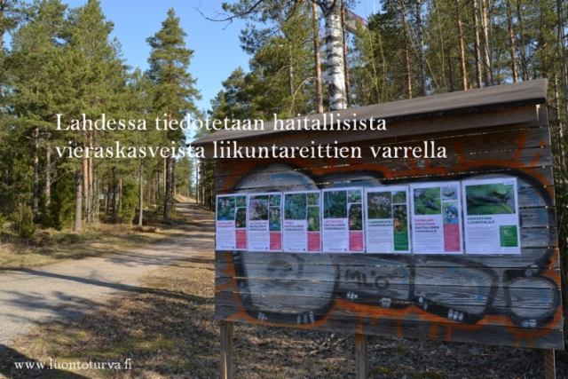1055_lahti_tiedotus_vieraslajeista_luontoturva.fi