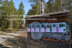 1055_lahti_tiedotus_vieraslajeista_luontoturva.fi