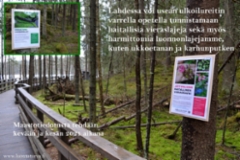 lahdessa_maastotiedotusta_haitallisista_vieraskasveista_miia_korhonen_luontoturva.fi