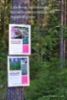 lahdessa_tiedotetaan_haitallisista_vieraslajeista_maastokyltein_www.luontoturva.fi