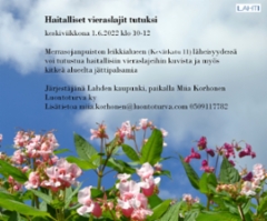 1.6.2022_haitalliset_vieraslajit_tutuksi_merrasojan_puiston_leikkalue_luontoturva.fi