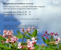 jattipalsami_talkoot_villahde