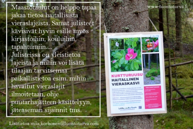luontoturva_maastotiedotusta_vieraslajit_www.luontoturva.fi