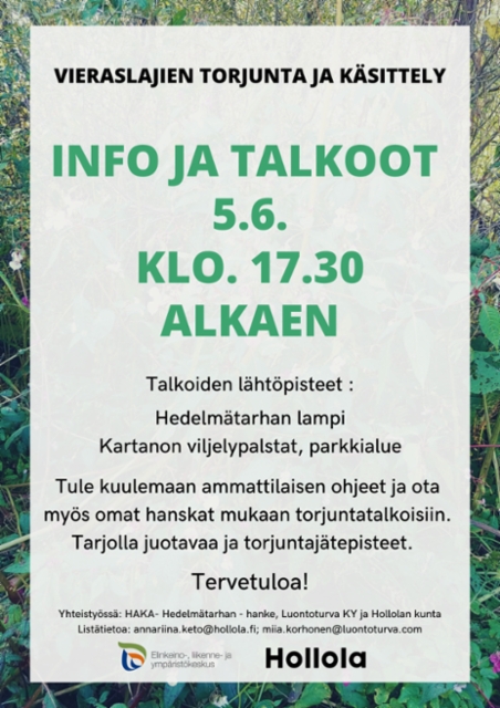 hollola_jattipalsami_talkoot_5.6.23_luontoturva.fi__2