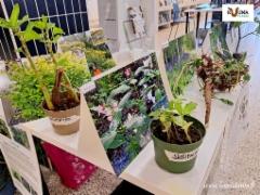 kuuma_vieras_hanke_22.5.24_tuusulan_kirjasto_www.luontoturva.fi