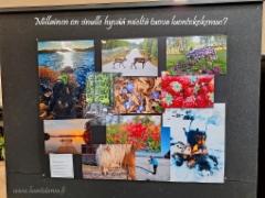 lahden_paakirjasto_luontokokemus_www.luontoturva.fi