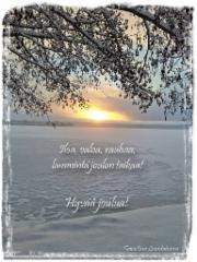 hyvaa_joulua_2024_toivottaa_luontoturva