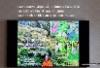 luontoturva_ky_jarjestaa_haitallisiin_vieraskasveihin_liittyvaa_koulutusta_miia_korhonen_www.luontoturva.fi
