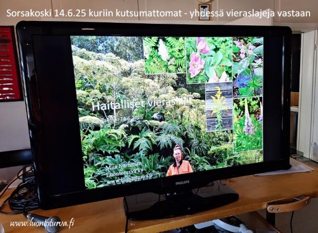 kuriin_kutsumattomat_hanke_sorsakoski_www.luontoturva.fi kuriin_kutsumattomat_hanke_sorsakoski_www.luontoturva.fi
