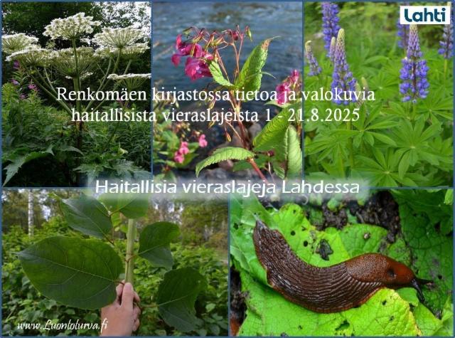 renkomaenkirjastossa_tietoa_haitallisista_vieraslajeista_1-21.8.2025