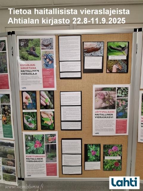 ahtialan_kirjasto_22.8-11.9.25_tietoa_haitallisista_vieraslajeista_lahti