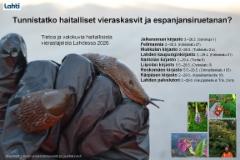 lahti_2026_tunnistatko_haitalliset_vieraslajit_www.luontoturva.fi