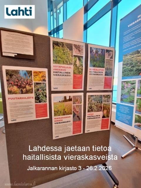 lahti_3-26.2.26_tietoa_haitallisista_vieraskasveista_www.luontoturva.fi
