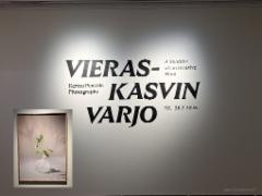 vieraskasvin_varjo_nayttely_9.1_-_28.2.2026