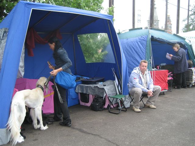 saluki ja parson leiri