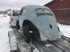 VW 1100 1951
