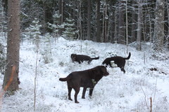 Tammikuussa 2014
